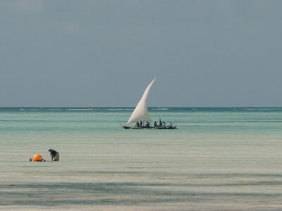 white sailboat on sea during daytime